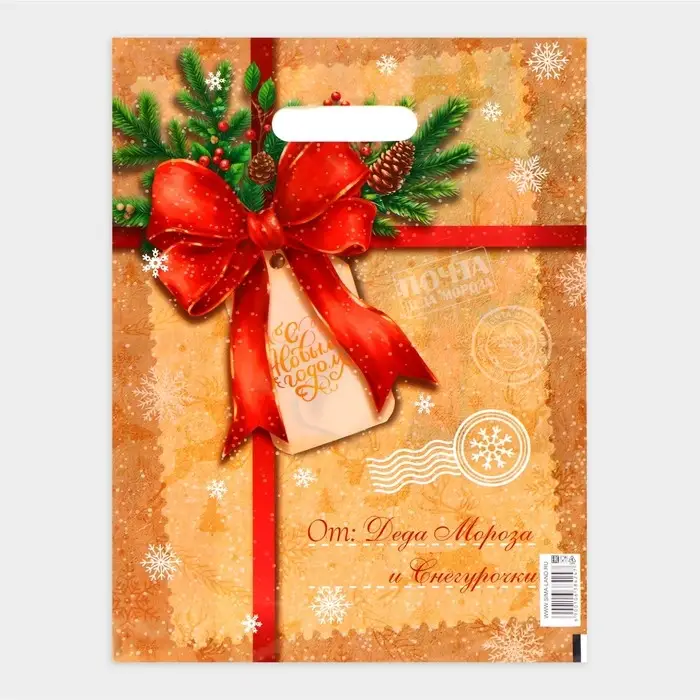 Пакет &laquo;Послание от деда мороза и снегурочки&raquo;, полиэтиленовый с вырубной ручкой, 30&times;40 см
