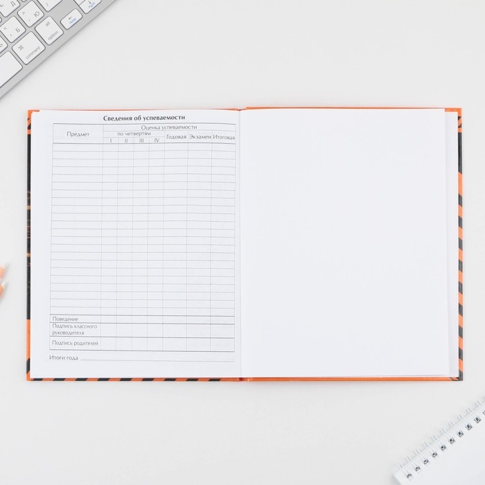 Дневник школьный 5-11 класс Sport car, твердая обложка 7БЦ, глянцевая ламинация, 48 листов