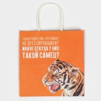 Пакет подарочный, упаковка, &laquo;Самец&raquo;, 22 х 22 х 11 см