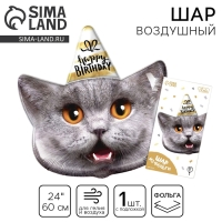 Воздушный шар фольгированный 24" &laquo;Кот &mdash; с днём рождения&raquo;, с подложкой