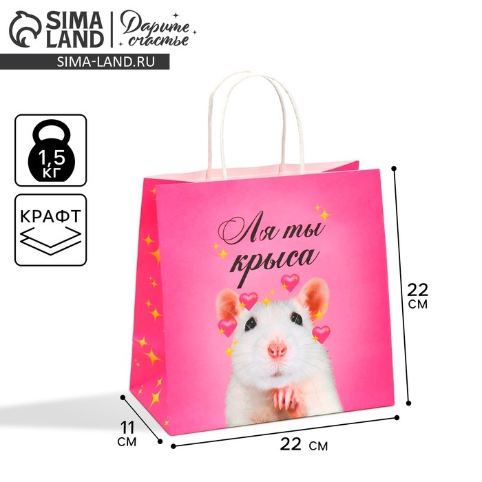 Пакет подарочный, упаковка, &laquo;Ля ты&raquo;, 22 х 22 х 11 см