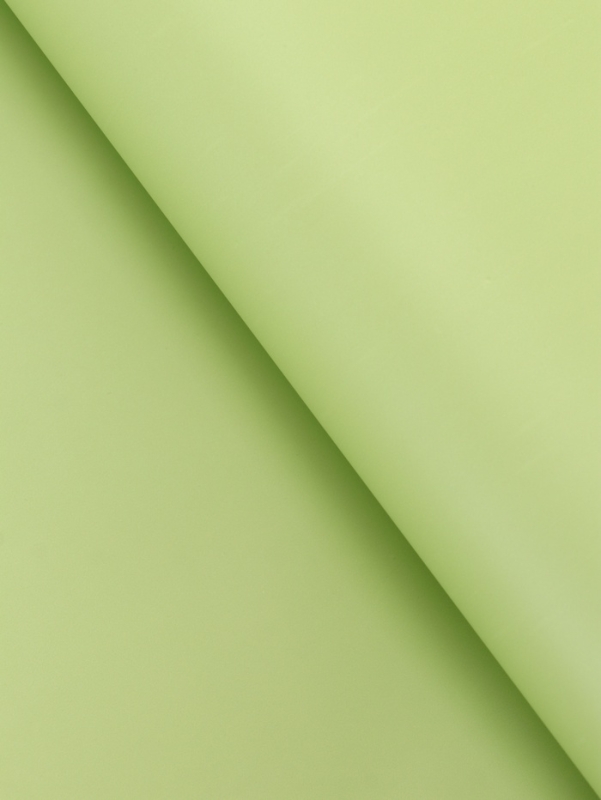 Плёнка для цветов "Письмо" 58см*5м, светло зелёный