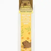 Закладки для книг картонные 5 шт., шпаргалки &laquo;Капибара&raquo;