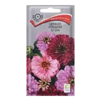 Семена цветов Цинния изящная "Арт деко", 0,2гр.