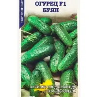 Семена Огурец Буян F1 огурец /Сотка/ 0,15г / партен. раннесп. 8-11см/*1500