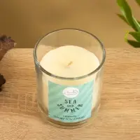 Свеча с кристаллом внутри Sea and Summer "Citronella" цитронелла, 120 гр