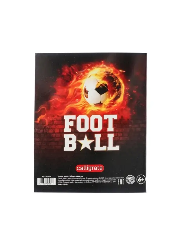 Тетрадь предметная 48 листов в линейку Calligrata, &laquo;Футбол. Литература&raquo;, обложка мелованный картон