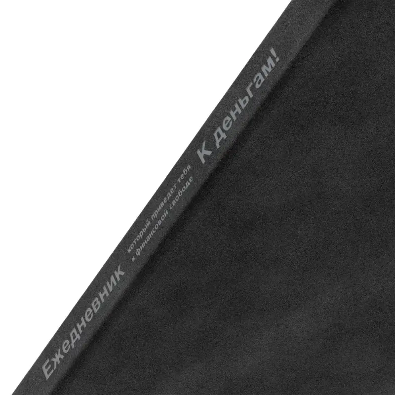 Ежедневник &laquo;Финансовая грамотность&raquo;, недатированный, черный