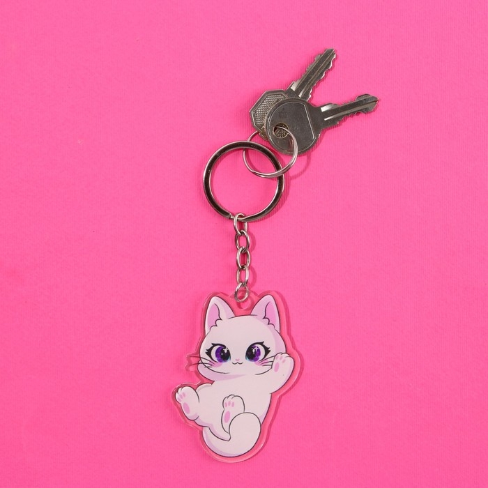 Набор брелоков