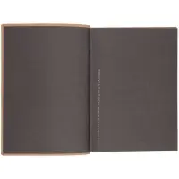 Ежедневник Anaconda, недатированный, серебристый