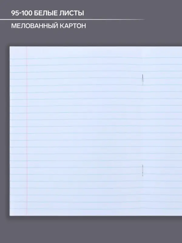 Тетрадь предметная 48 листов в линейку Calligrata, &laquo;Коллаж. Литература&raquo;, обложка мелованный картон