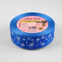 Новый год! Лента капроновая с тиснением &laquo;Снежинки&raquo;, 25 мм &times; 23 &plusmn; 1 м, цвет синий/серебряный №040