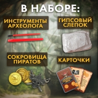 Набор для раскопок &laquo;Сокровища карибского моря&raquo;