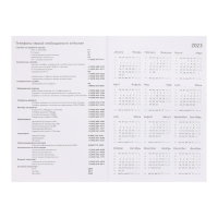 Ежедневник датированный 2024 года, А5, 176 листов, Attomex.Regent, обложка бумвинил, ляссе, блок 70 г/м2, чёрный