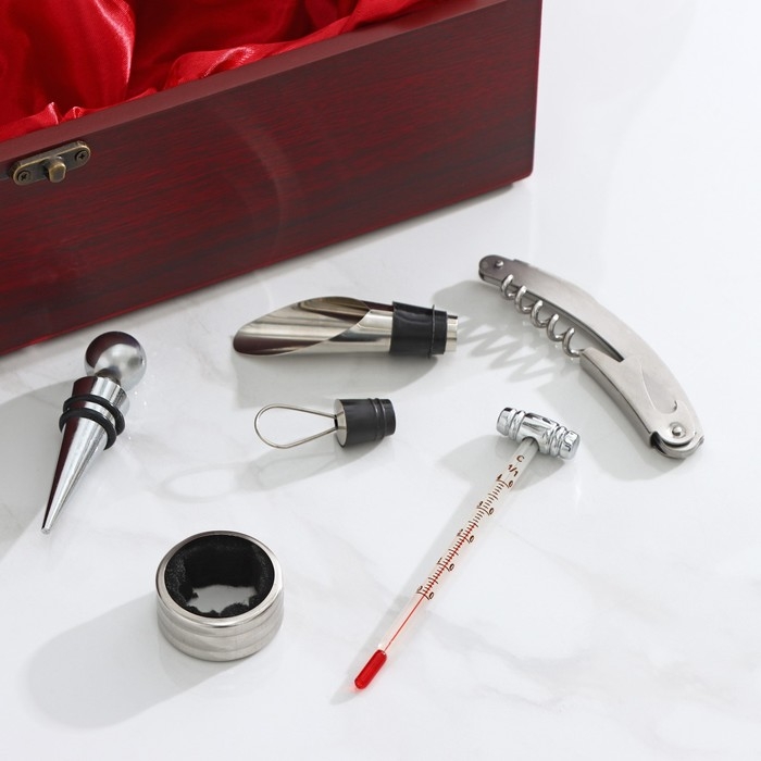 Набор для вина Доляна &laquo;Ла-Манш&raquo;, 6 предметов: кейс для бутылки, каплеуловитель, кольцо, штопор, термометр, пробка