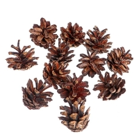 Новогодний декор &laquo;Набор натуральных шишек&raquo; 12 шт.