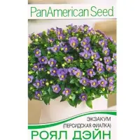Семена цветов Экзакум (Персидская фиалка) Роял дэйн дип блю  (драже)  PanAmerican, Ц/П,4 шт. 1094596