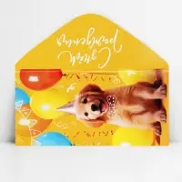 Конверт для денег &laquo;С Днём рождения!&raquo;, ретривер, 16.5 х 8 см
