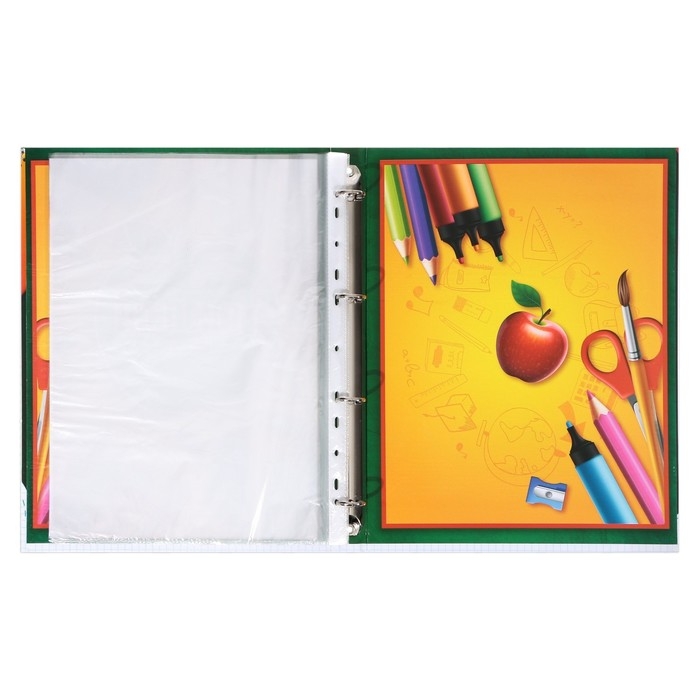Папка школьная на кольцах &laquo;Портфолио школьника&raquo;, 6 листов-разделителей, 24,5 х 32 см.