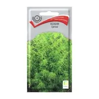 Семена цветов Кохия "Султан", О, 0,1гр