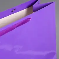 Пакет ламинированный горизонтальный "Пурпурный", XXL  61 х 46 х 20 см