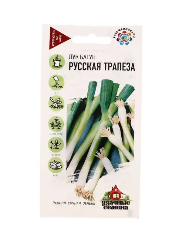 Семена Лук батун Русская трапеза, на зелень 0,5 г Уд. с.