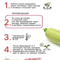 Семена Кабачок белоплодный "Грабовский", 0,5 г