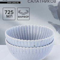 Салатники Доляна &laquo;Коралл&raquo;, d=16.1 см, набор 2 шт., керамика, голубые