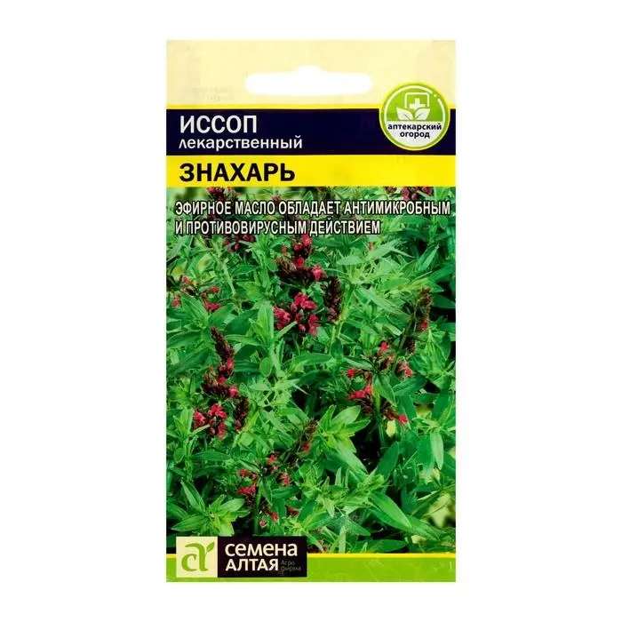 Семена Иссоп "Знахарь", 0,2 г