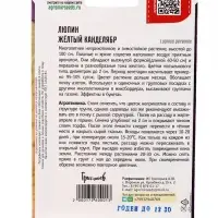 Семена цветов Люпин Жёлтый Канделябр многолетний  14 шт.  12.29 г.