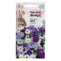 Семена цветов Брахикома "Нега", ц/п,  0,02 г