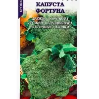 Семена Капуста брокколи Фортуна /Сотка/ 0,3г/ среднесп. 150-200г/*1200
