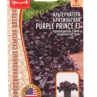 Семена цветов Альтернатера Purple Prince F1 бразильская  3шт. 12.29 г.