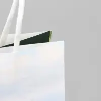 Пакет подарочный под бутылку, упаковка, &laquo;Вино&raquo;, белый крафт, 13 х 36 х 10 см