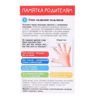 Развивающий набор &laquo;Умные гонзики&raquo;, учим пальчики