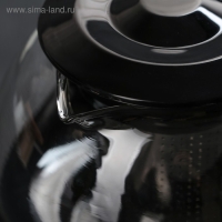 Чайник заварочный &laquo;Бетти&raquo;, 800 мл, с ситечком, цвет черный