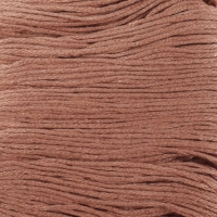 Набор ниток мулине №3064, 8 &plusmn; 1 м, 6 шт, цвет песочный