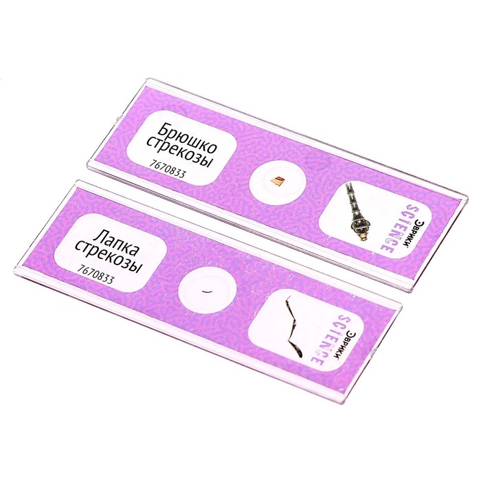 Набор для опытов &laquo;Набор микропрепаратов&raquo;, насекомые