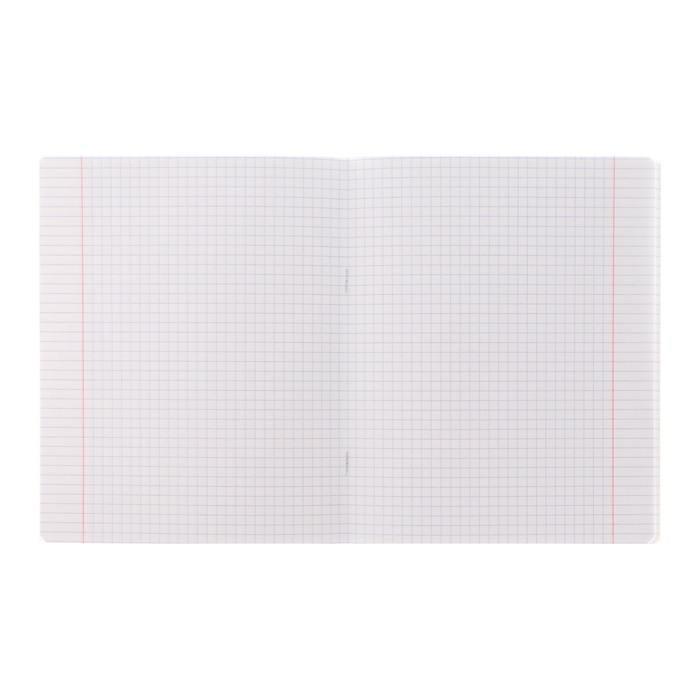 Тетрадь 48 листов в клетку "Гусь-веселюсь №1", обложка мелованный картон, скругленные углы, 5В, МИКС