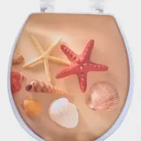 Сиденье для унитаза 40х37х4,5 см "Океан"
