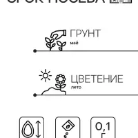 Семена цветов Иберис зонтичный "ганатовый лед", 0,1 г