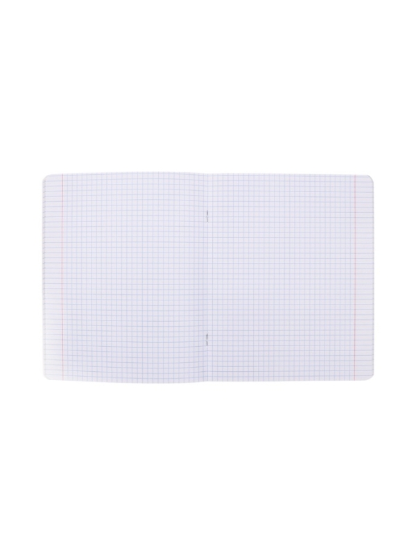 Тетрадь 48л кл на скобе "Приключения Василия", скругл углы, обл мел бум, 45 МИКС