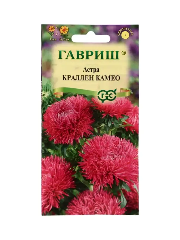 Семена цветов Астра Краллен Камео, однолетняя (коготковая темно-роз.) 0,3 г