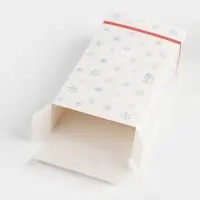 Коробка складная &laquo;Дед Мороз&raquo;, 20 x 10 x 5 см