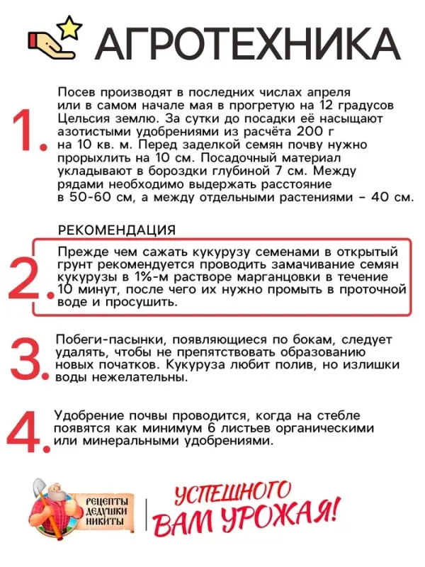 Семена Кукуруза "Краснодарский сахарный 250 CВ", 3 г