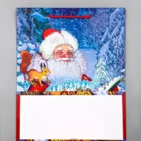 Пакет подарочный новогодний ламинированный, &laquo;Дед Мороз&raquo; , 26&times;12&times;32 см