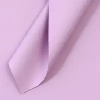 Пленка для цветов тонированная, матовая, светло - сиреневая, 57&times;57 см &plusmn;5% см, 65 мкм