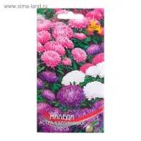 Семена цветов Астра карликовая "Миледи" смесь, О,     90 шт