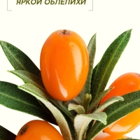 Гель для душа, витаминное увлажнение, аромат облепихи, 250 мл, Рябина