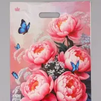 Пакет подарочный На рассвете  40 х 31 см 30 мкм